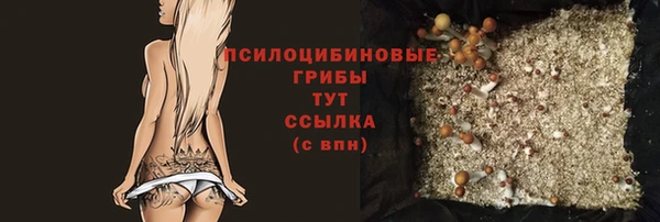 круглые Бородино