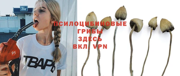 синтетический гашиш Богородицк