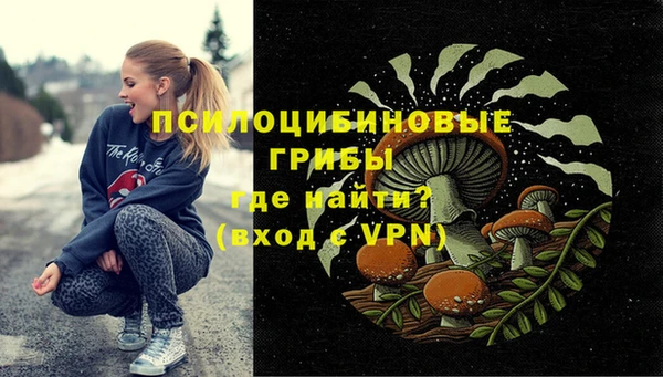 круглые Бородино