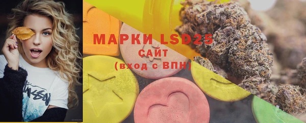 круглые Бородино