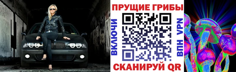 Псилоцибиновые грибы мицелий  наркотики  Дальнегорск 
